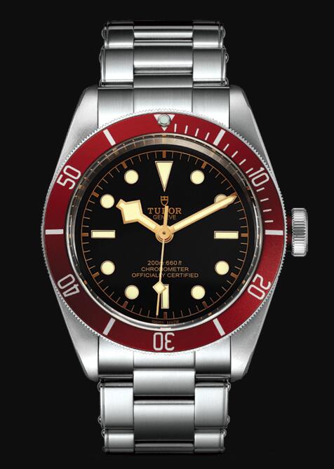 Tudor BLACK BAY M79230R-0012 Replica Watch